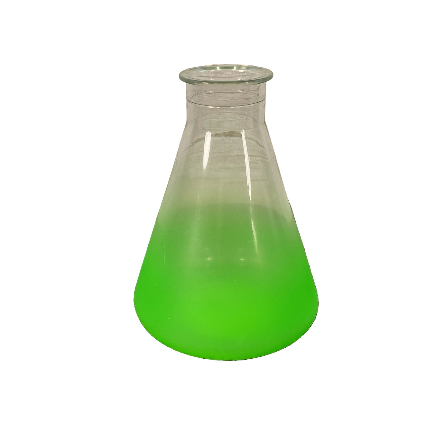 Target Halloween Decor - Black Cauldron Tubes Poison Bottle Drinkware