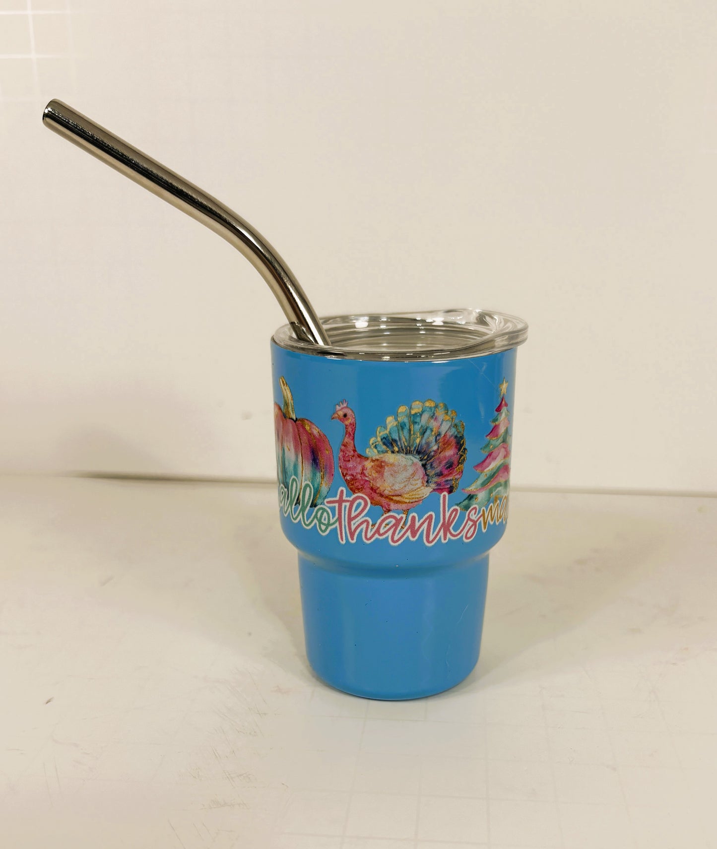 AGSD Fall Decor - Pastel Multi Seasons Halloween Christmas Mini Tumbler