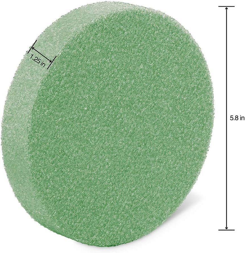 FloralCraft CraftFom Floral Supply - #6 Foam Disc Round Circle 5.8 X 1.25 4pc Set